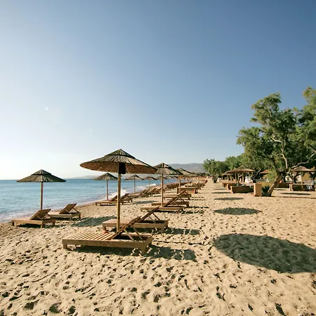 Atlantis Resort 4*